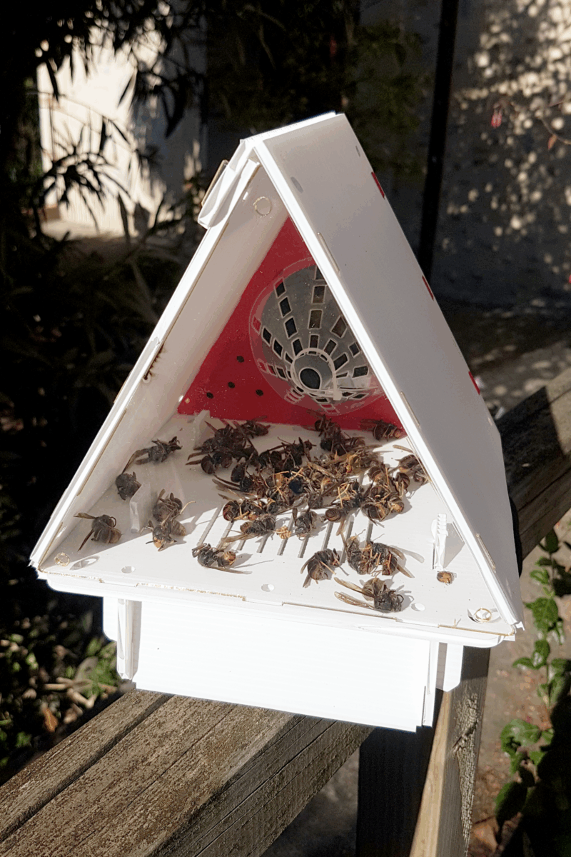 VVTrap Delta /Piège sélectif/ frelons asiatiques – Image 5