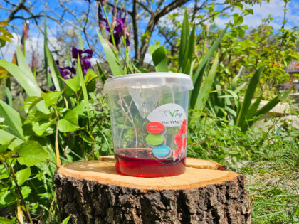 VVTrap Bucket mini – Piège anti-reines frelons