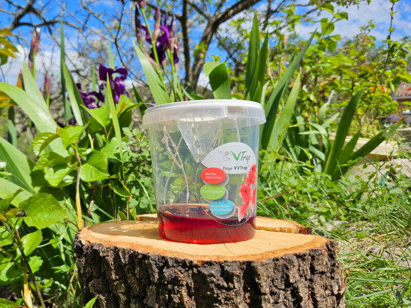 VVTrap Bucket mini – Piège anti-reines frelons