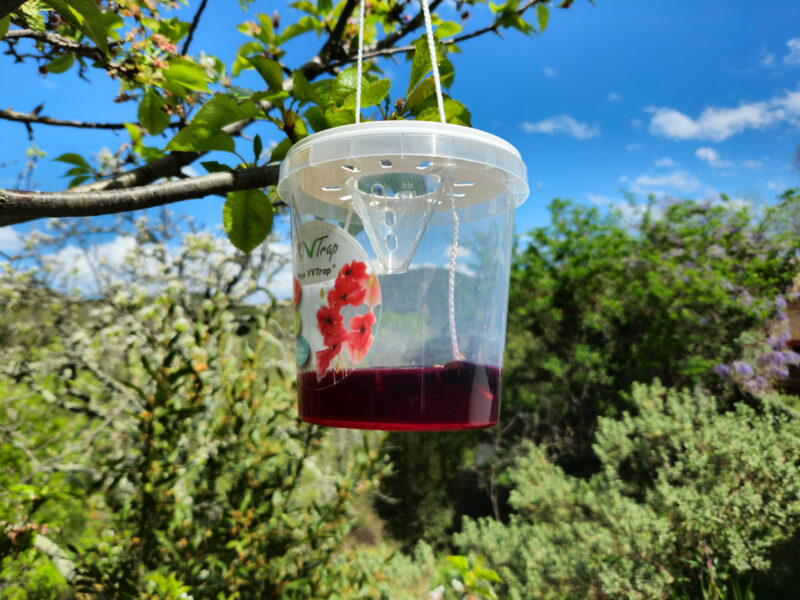 VVTrap Bucket mini [Lot de 3] – Image 6