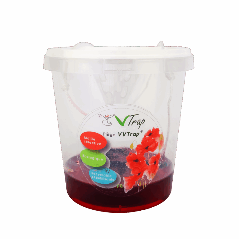 VVTrap Bucket mini – Piège anti-reines frelons – Image 11