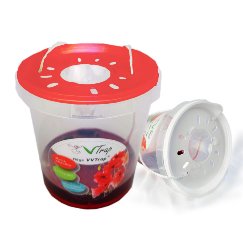 VVTrap Bucket mini – Piège anti-reines frelons – Image 5