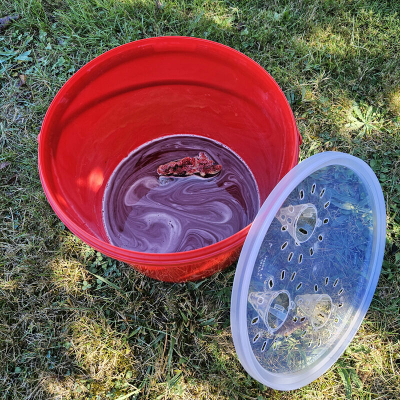VVtrap MONSTER XL 10L 5L 2L – Image 4