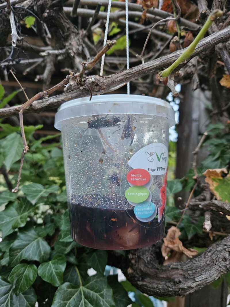 VVTrap Bucket mini [Lot de 3] – Image 8