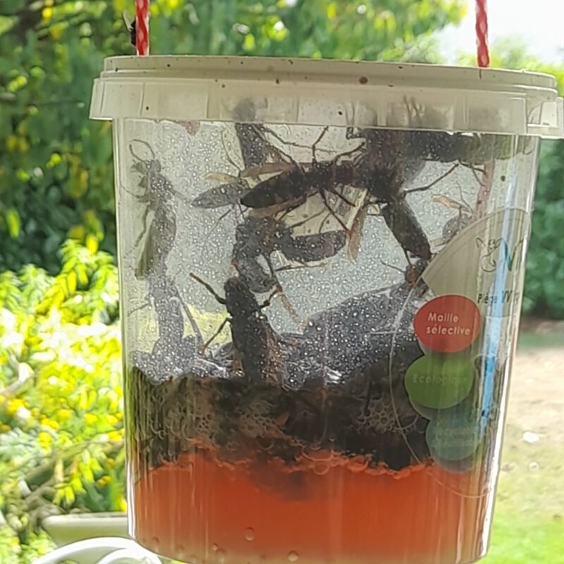 VVTrap Bucket mini [Lot de 3] – Image 3