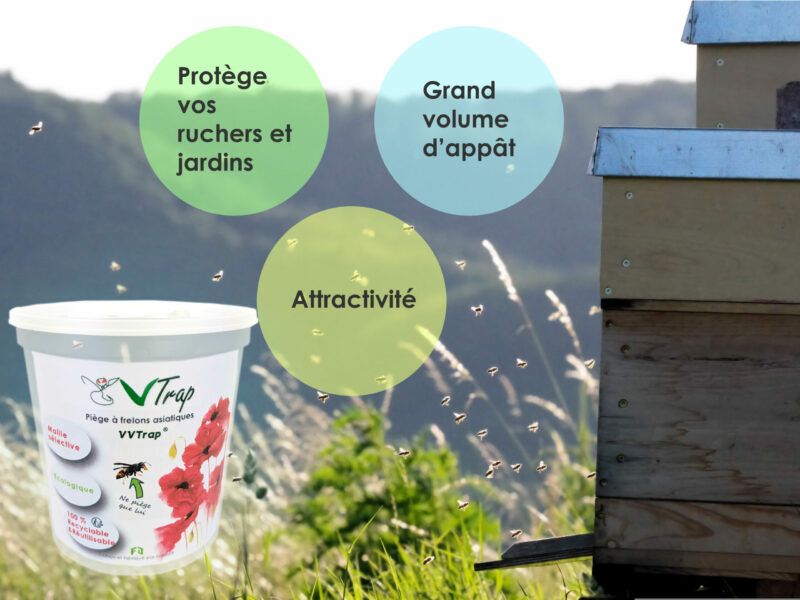VVTrap Bucket mini [Lot de 3] – Image 4